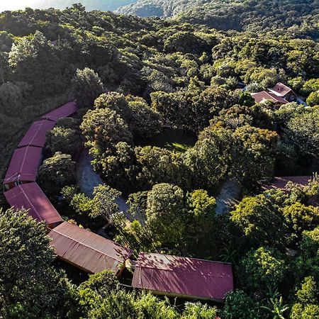 El Bosque Lodging Villa Monteverde Kültér fotó