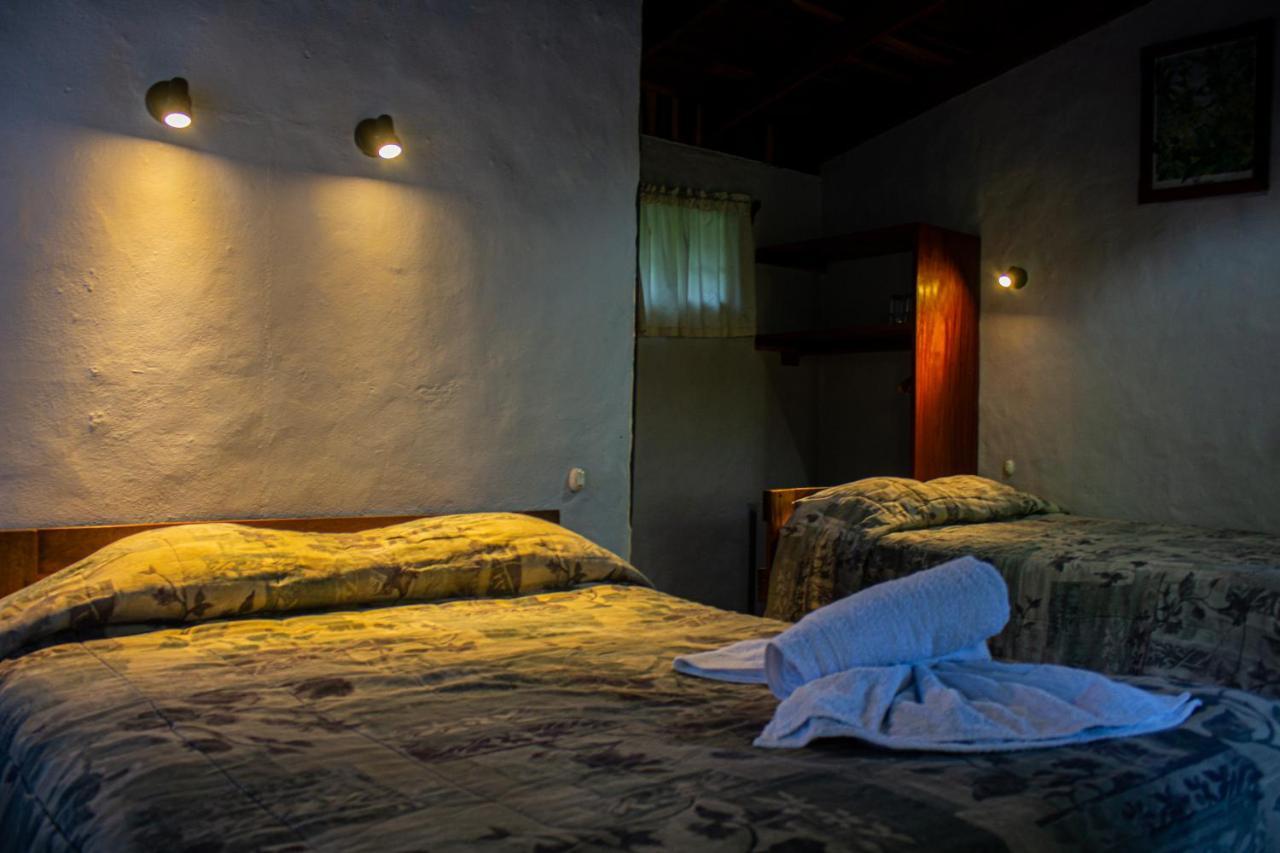 El Bosque Lodging Villa Monteverde Kültér fotó